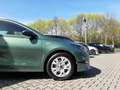 Kia Ceed SW / cee'd SW 1.5T DCT Vision Komfort+ MJ25 Verde - thumbnail 15