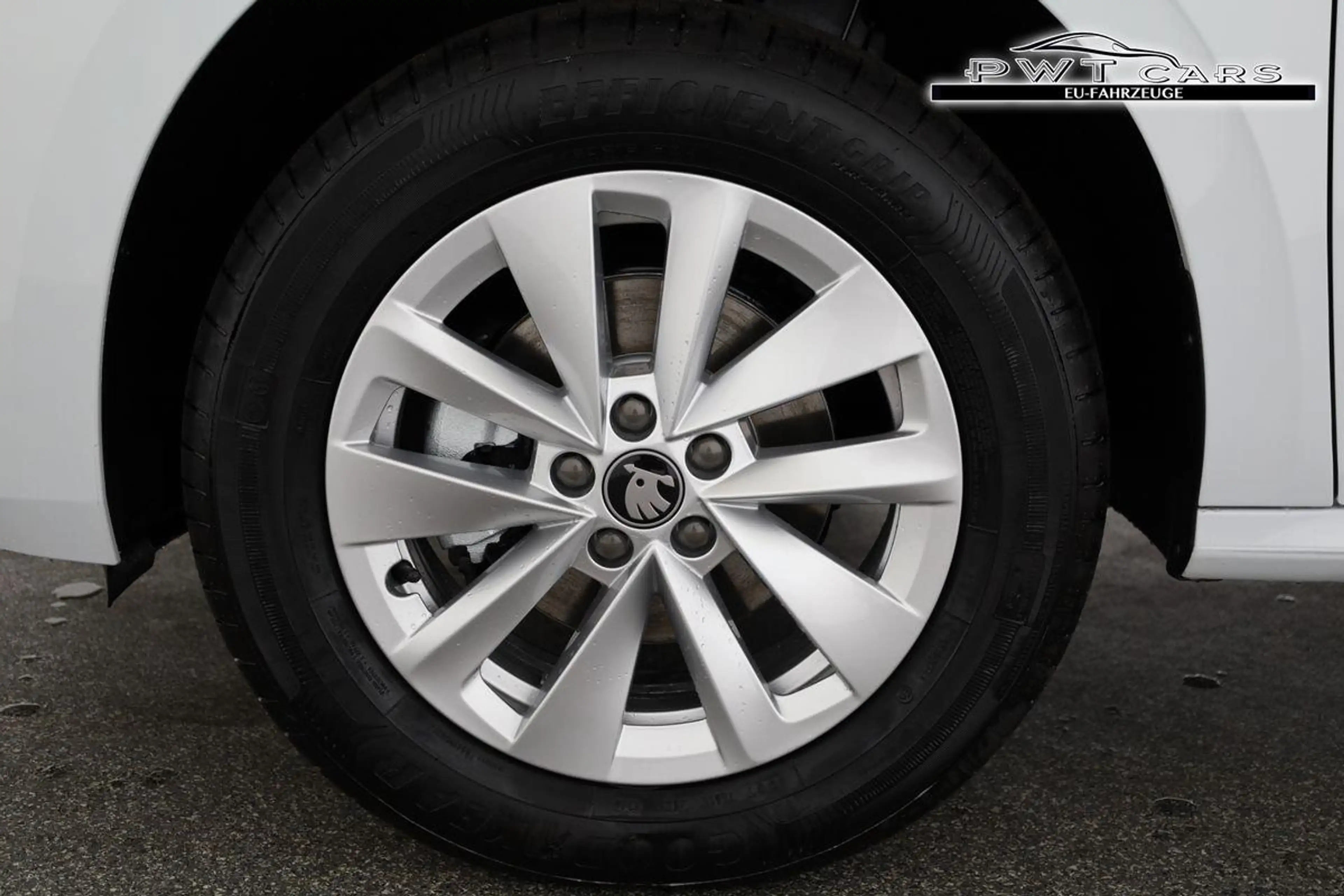 Skoda Kamiq Selection 1.5 TSI DSG Selection, LED, Kamera, W... — photo 12
