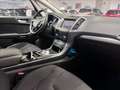 Ford S-Max 2.0 ecoblue Titanium Business s&s 150cv auto my19 Grau - thumbnail 14