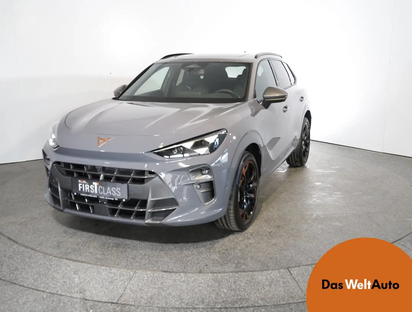 CUPRA Terramar VZ 2.0 TSI 265 PS DSG 4Drive Grau - 1