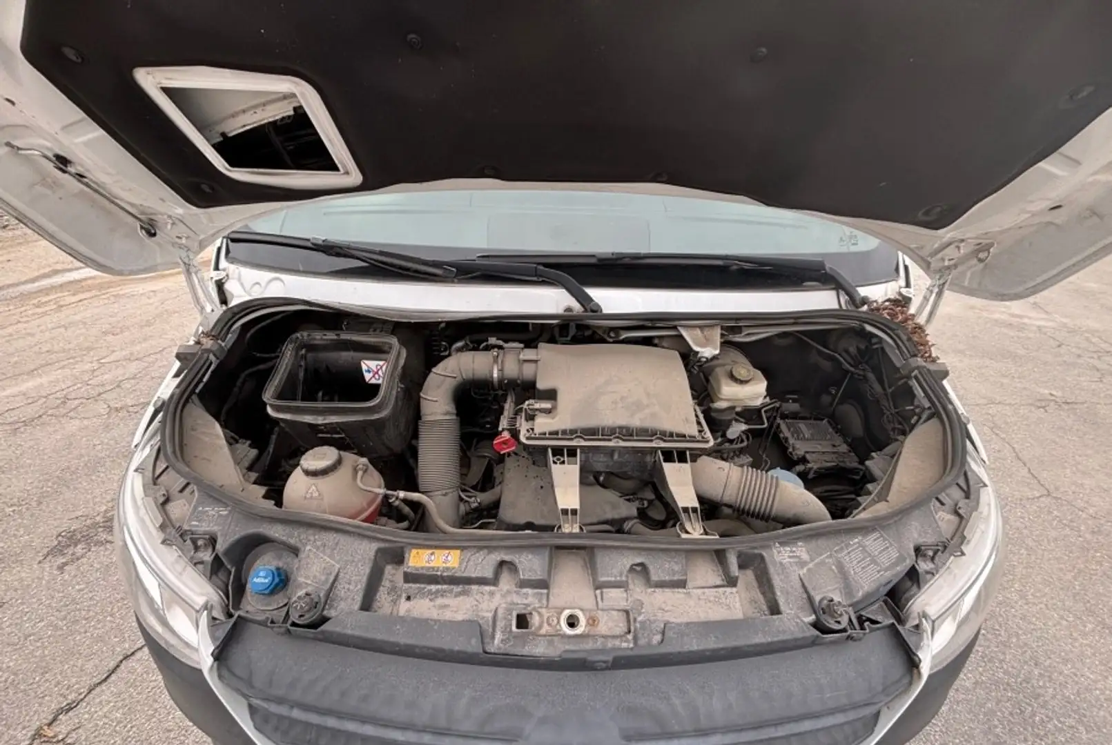 Mercedes-Benz Sprinter 316 CDI Sprinter 7G-TRONIC Plus Weiß - 2