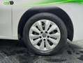 Renault Kangoo LIFE EDITION ONE 1.5 BLUE DCI 70KW 95CV Blanco - thumbnail 26