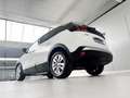 Peugeot 3008 1.5 HDI STYLE 131CV Blanco - thumbnail 22