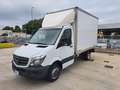 Mercedes-Benz Sprinter Sprinter 416 d BlueTec T 37/35 BOX IN LEGA Wit - thumbnail 1