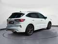 Ford Kuga Kuga 1.5 Ecoblue ST-Line Design 2WD 120cv Aut. Blanc - thumbnail 7
