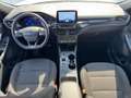 Ford Kuga Kuga 1.5 Ecoblue ST-Line Design 2WD 120cv Aut. Blanc - thumbnail 10
