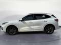 Ford Kuga Kuga 1.5 Ecoblue ST-Line Design 2WD 120cv Aut. Blanc - thumbnail 4