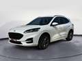Ford Kuga Kuga 1.5 Ecoblue ST-Line Design 2WD 120cv Aut. Blanc - thumbnail 3