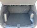 Ford Kuga Kuga 1.5 Ecoblue ST-Line Design 2WD 120cv Aut. Blanc - thumbnail 12