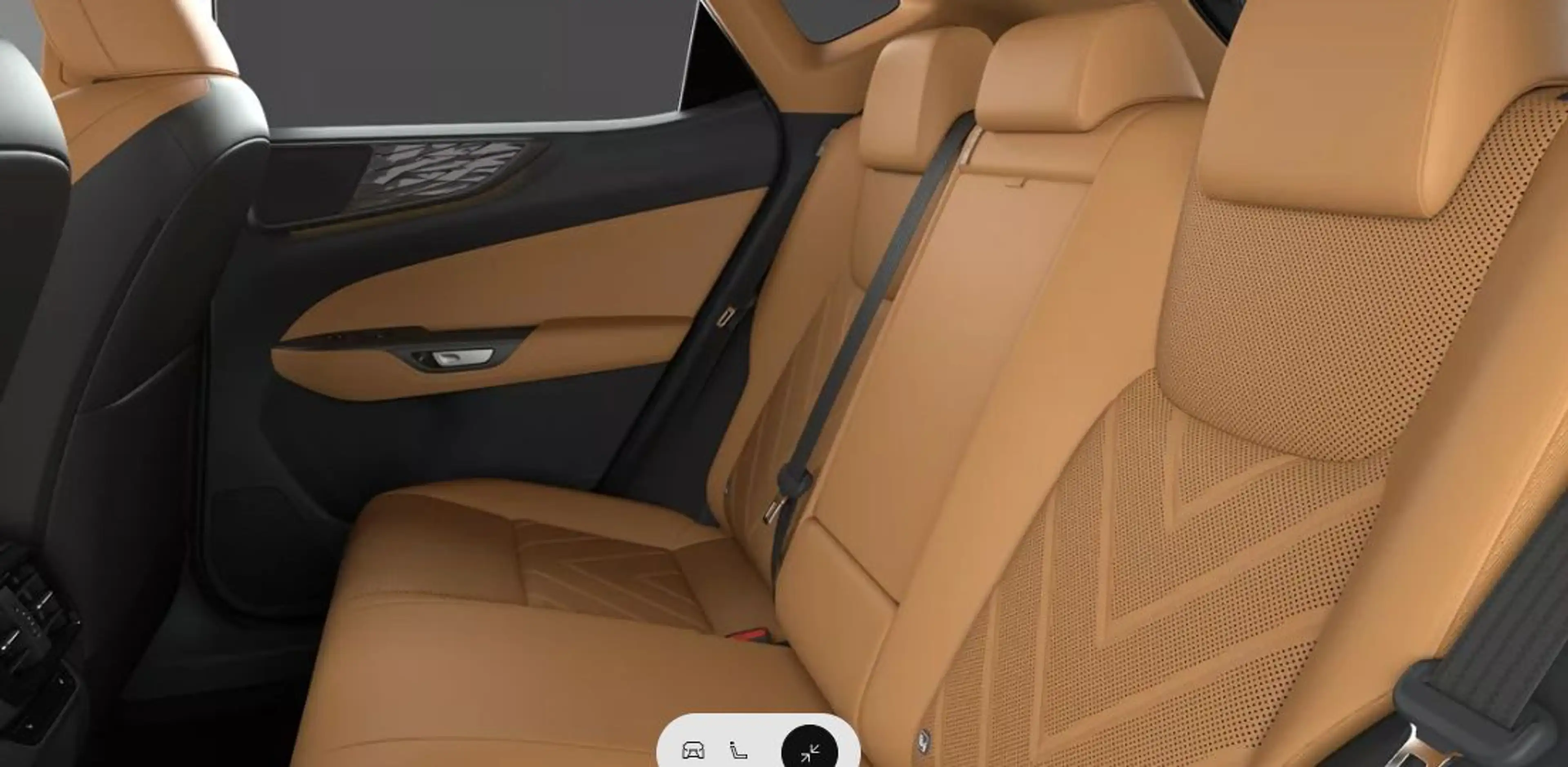 Lexus NX 450h+ Executive Line Technologie-Paket + Pano — photo 12