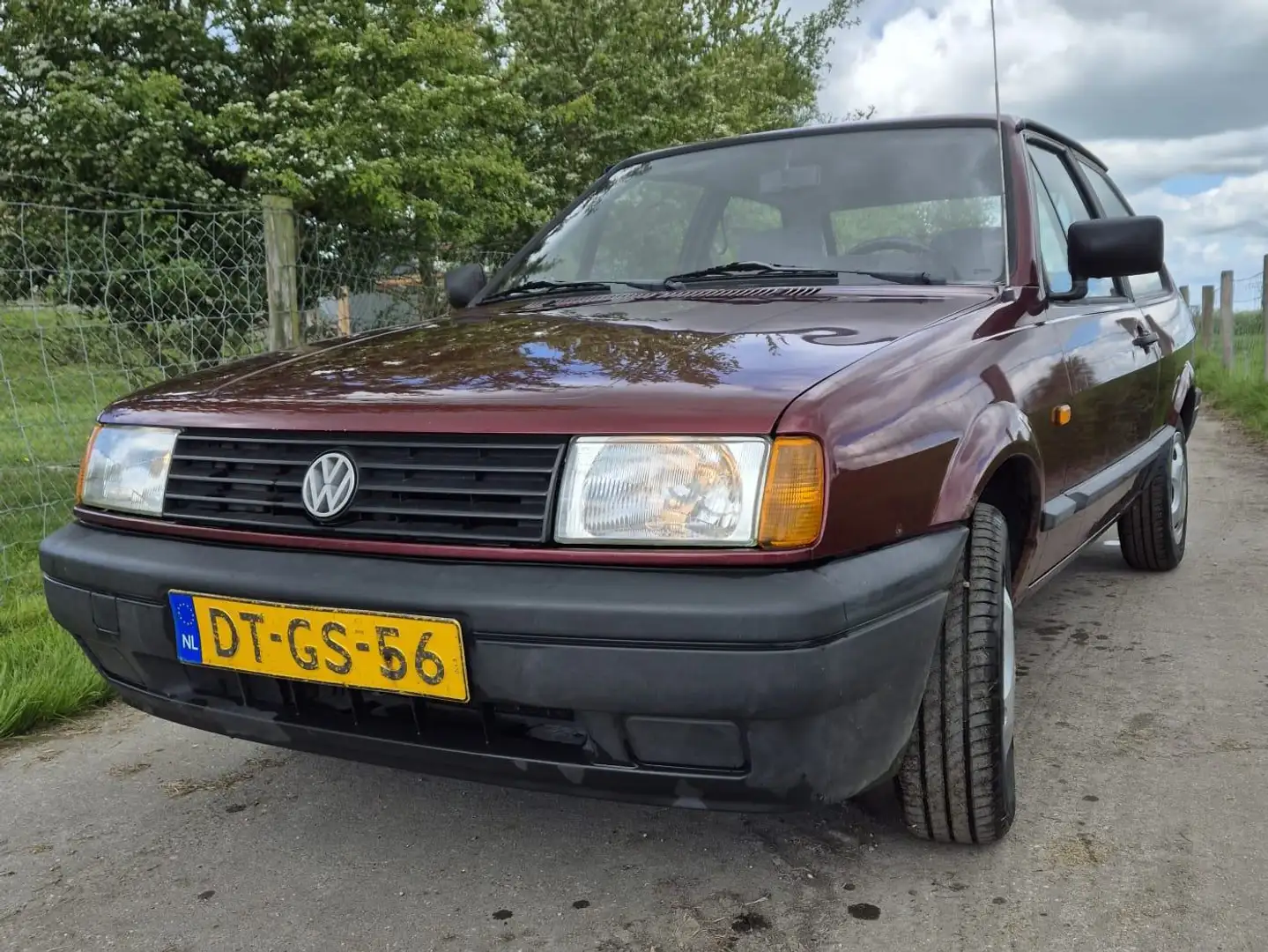 Volkswagen Polo Polo Rosso - 1