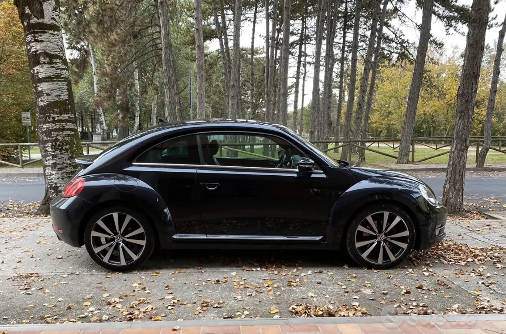 Volkswagen Maggiolino 2.0 tsi Sport dsg - 1