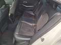 BMW 320 d 48V Msport Bianco - thumbnail 13