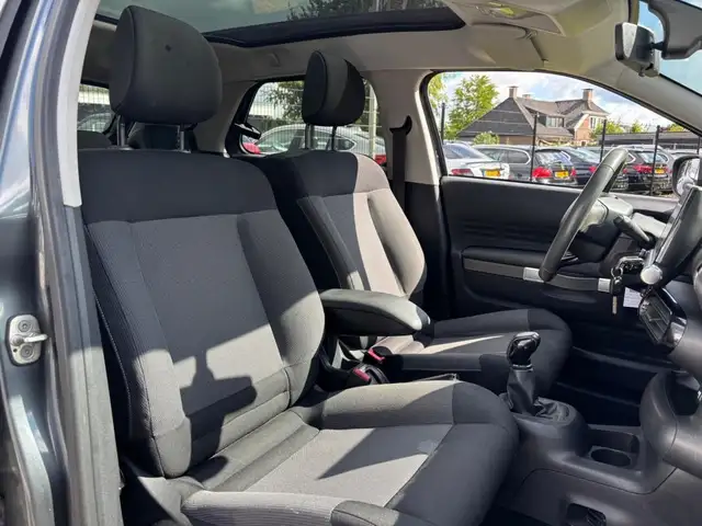 Citroen C4 Cactus view 10