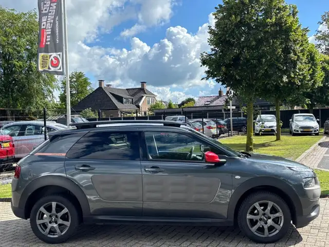 Citroen C4 Cactus view 5