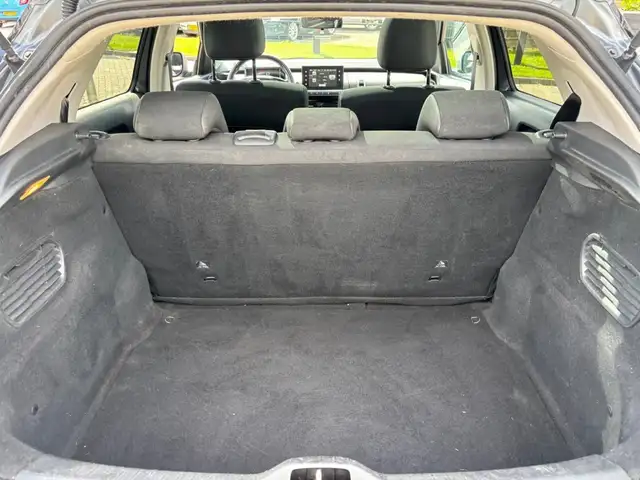 Citroen C4 Cactus view 15