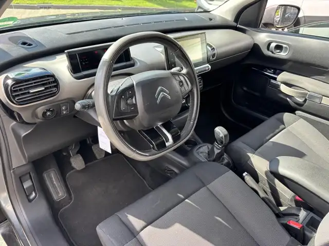 Citroen C4 Cactus view 12