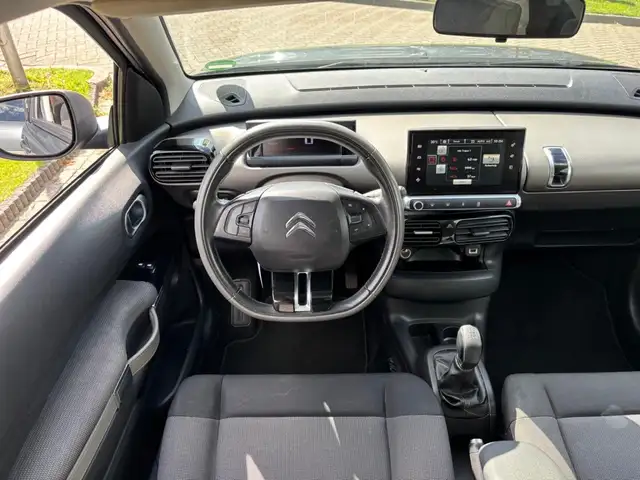 Citroen C4 Cactus view 13