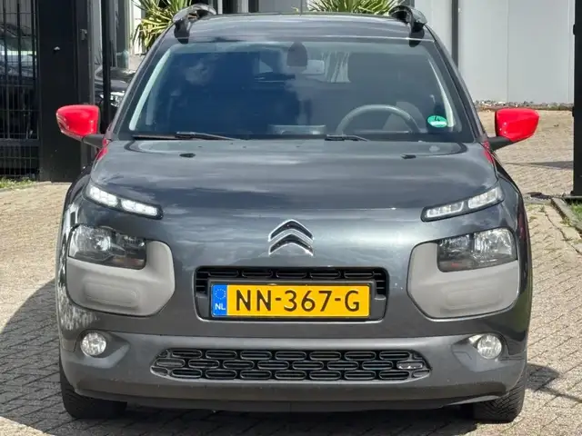 Citroen C4 Cactus view 2