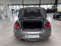 Volkswagen Beetle CABRIOLET DESIGN DSG+LEDER+NAVI+APPLE+ALU Сірий - thumbnail 17