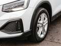 Audi Q2 35 TFSI advanced s-tronic Navi AHK Kamera Weiß - thumbnail 23