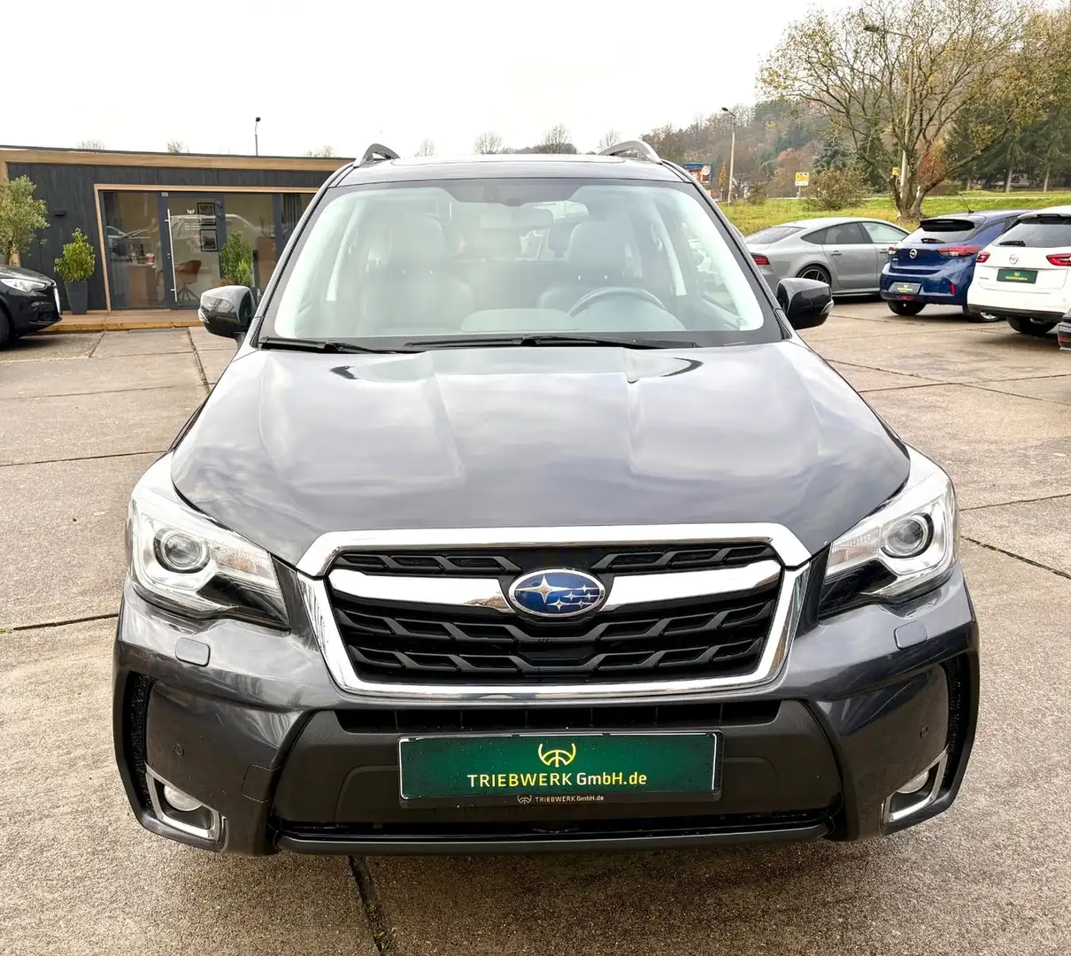 Subaru Forester Automatik 4x4 Allrad Navi Leder Kamera Gris - 2
