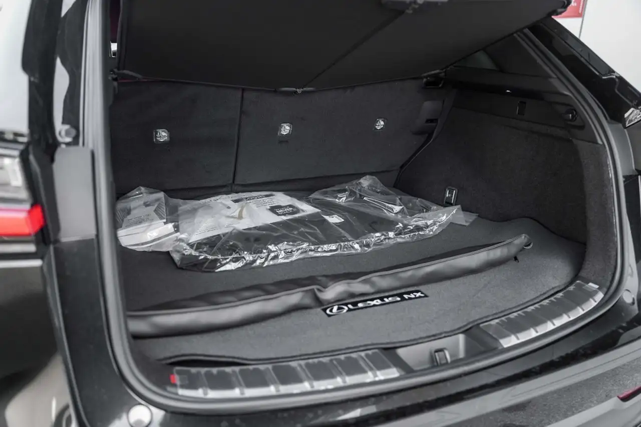 Lexus NX снимка Lexus NX