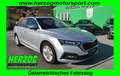Skoda Octavia Octavia Combi 2,0 TDI 4x4 DSG LED VIRTUAL 1.BESITZ Zilver - thumbnail 1