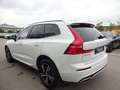 Volvo XC60 B4 R Design 2WD PANO HUD Standhz. ACC HK Weiß - thumbnail 5