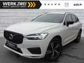 Volvo XC60 B4 R Design 2WD PANO HUD Standhz. ACC HK Weiß - thumbnail 1