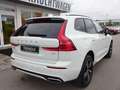 Volvo XC60 B4 R Design 2WD PANO HUD Standhz. ACC HK Weiß - thumbnail 7