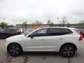 Volvo XC60 B4 R Design 2WD PANO HUD Standhz. ACC HK Weiß - thumbnail 4
