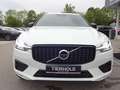Volvo XC60 B4 R Design 2WD PANO HUD Standhz. ACC HK Weiß - thumbnail 10
