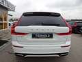 Volvo XC60 B4 R Design 2WD PANO HUD Standhz. ACC HK Weiß - thumbnail 6