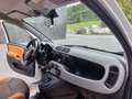Fiat Panda 4x4 Rock Weiß - thumbnail 14