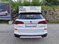BMW X5 xDrive50e Weiß - thumbnail 20