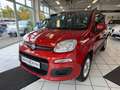 Fiat Panda Lounge Automatik*Klima.*PDC Braun - thumbnail 8