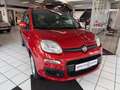 Fiat Panda Lounge Automatik*Klima.*PDC Braun - thumbnail 2