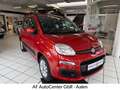 Fiat Panda Lounge Automatik*Klima.*PDC Braun - thumbnail 1