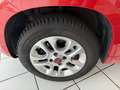 Fiat Panda Lounge Automatik*Klima.*PDC Braun - thumbnail 16