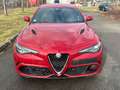 Alfa Romeo Giulia Quadrifoglio Sparco Carbon Rouge - thumbnail 2