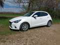 Mazda 2 Mazda 2 G75 Emotion Emotion Weiß - thumbnail 2