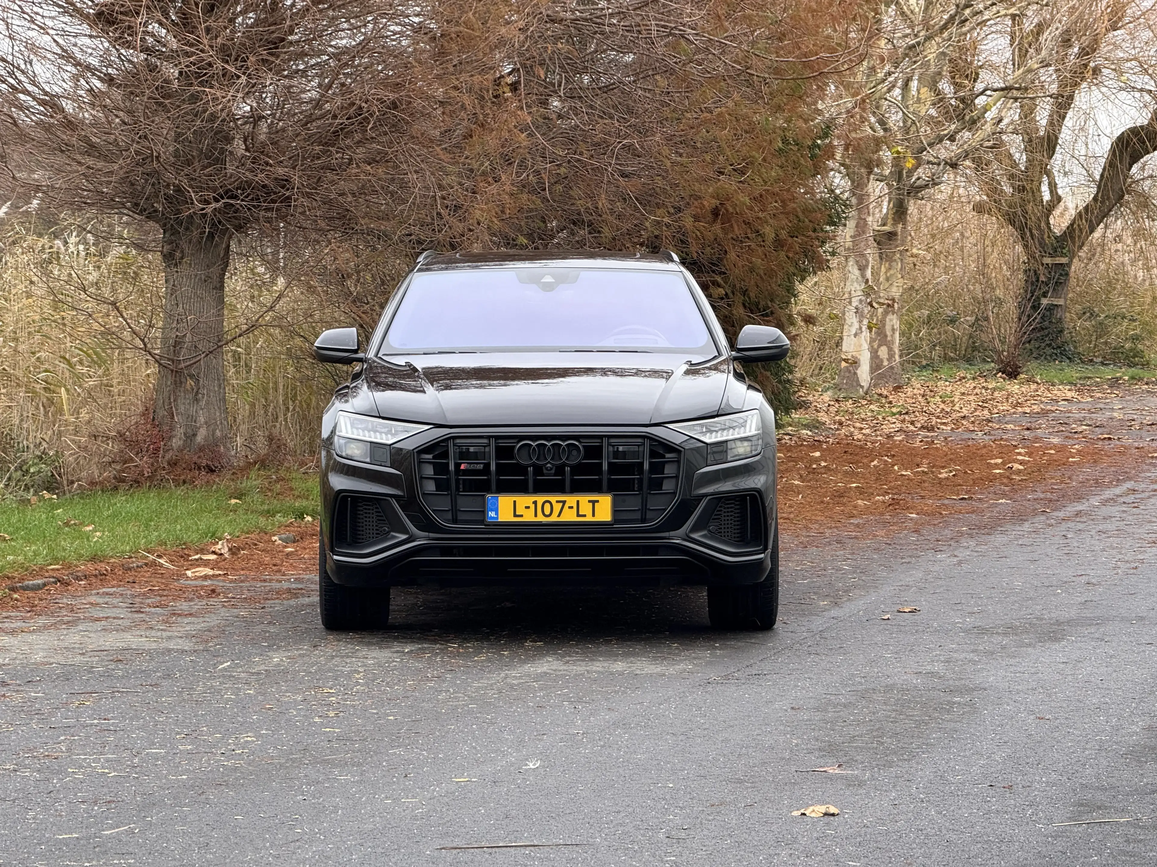 Audi SQ8 4.0 TFSI SQ8 q.
