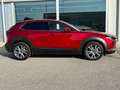 Mazda CX-30 CX-30 2.0 m-hybrid Executive App Pack 2wd 150cv Rouge - thumbnail 2