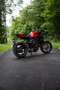 MV Agusta 800 rosso (75° anniversario) Rosso - thumbnail 2