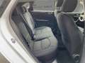 Kia Ceed / cee'd Vision 1.0T Navi Kamera SitzHzg Blanco - thumbnail 11