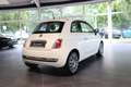 Fiat 500 LOUNGE AUTOMATIK   PANORAMAGLASDACH Blanco - thumbnail 6