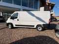 Fiat Ducato 33 2.2 Mjt 140CV L2H1 Prezzo + iva Bianco - thumbnail 7