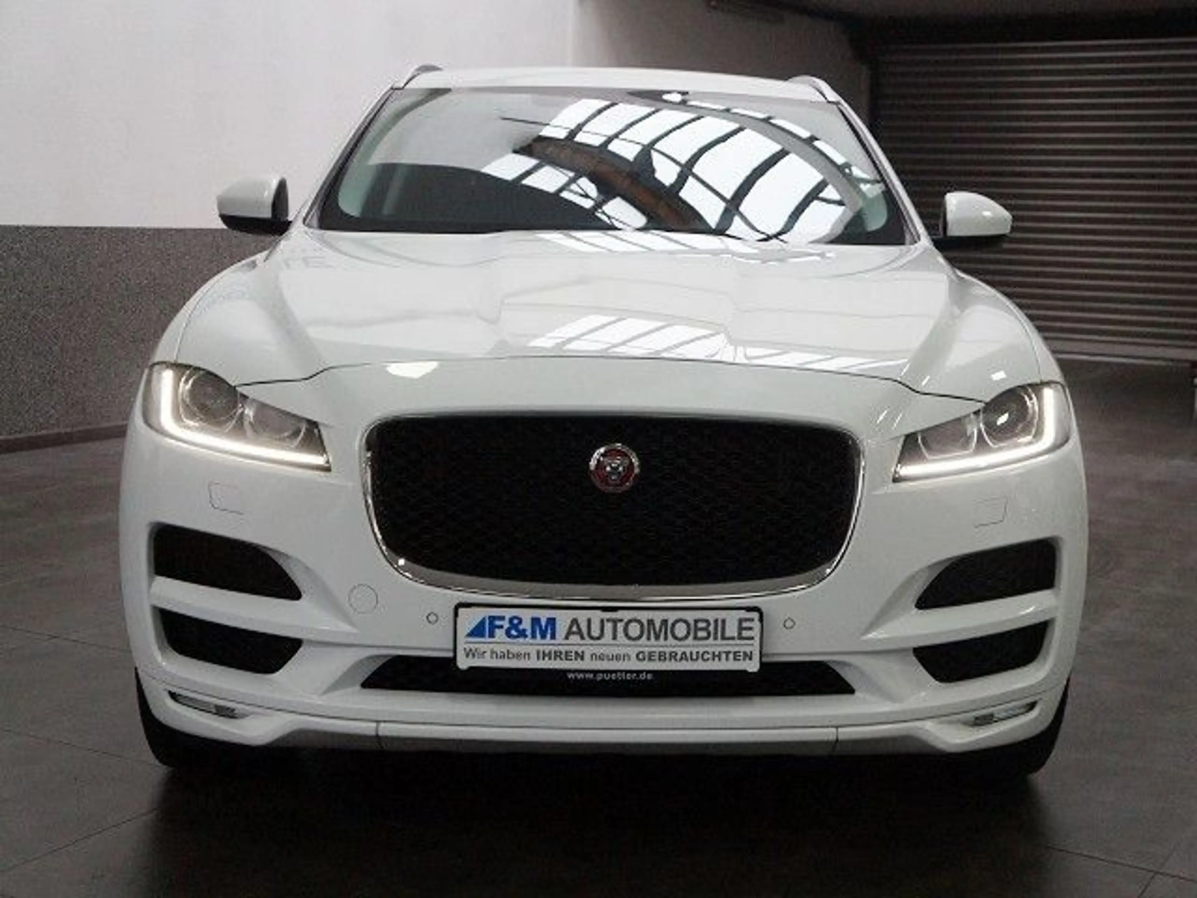 Jaguar F-Pace 20d AWD Pure Automatik Navi Leder R-Kam — photo 4