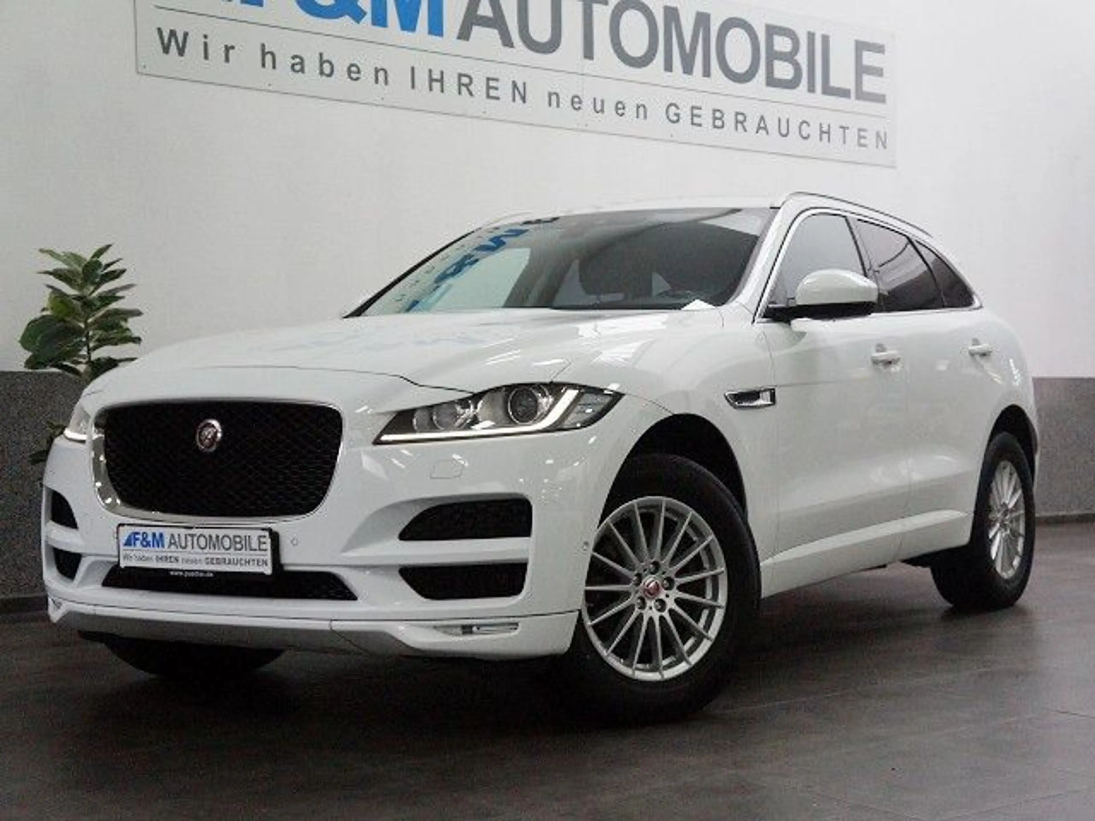 Jaguar F-Pace 20d AWD Pure Automatik Navi Leder R-Kam — photo 2